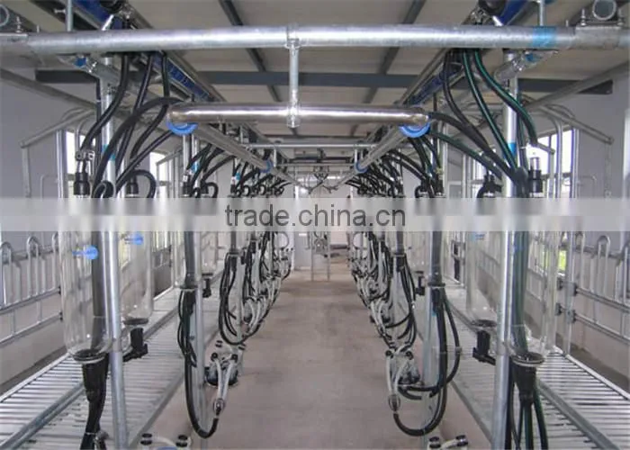 Farm Milking Parlour Plant for Goats and Sheep