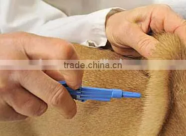 syringe for animal with RFID animal glass tag