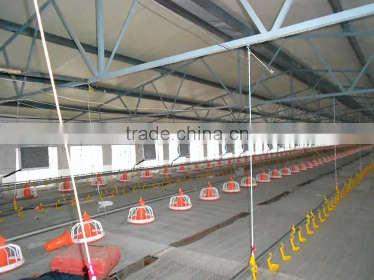 poultry automatic feeding system