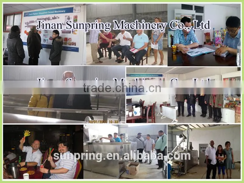 China Textured Soybean protein food processing line