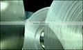Galvanized Steel Sheets in Coils SGCC