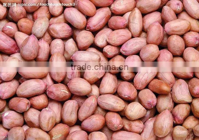 peanut powder making machine/blanched peanut production line/