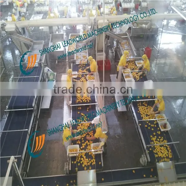 canned fruit and vegetables making/processing production line