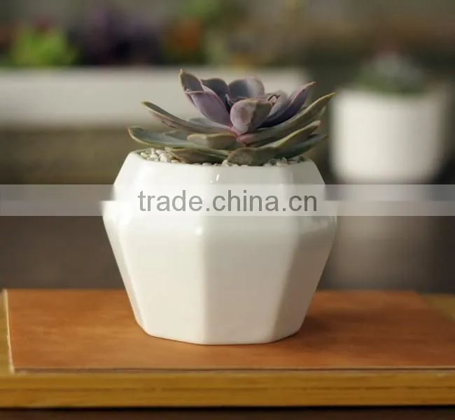 Creative octagon white ceramic small interior decorative pots