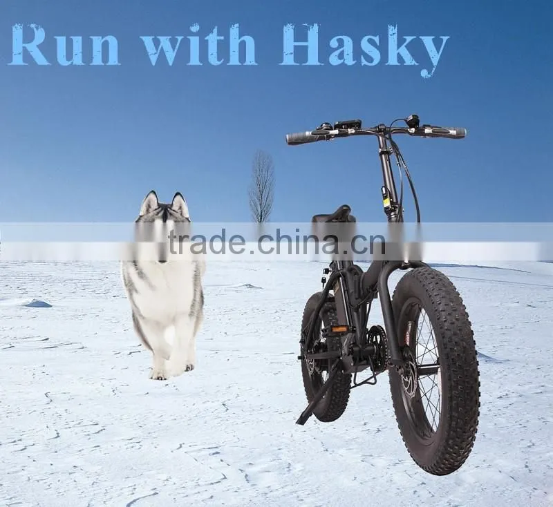 20 inch folding fat tyre electric bike lithium battery motorbike with CE certification electric bicycle