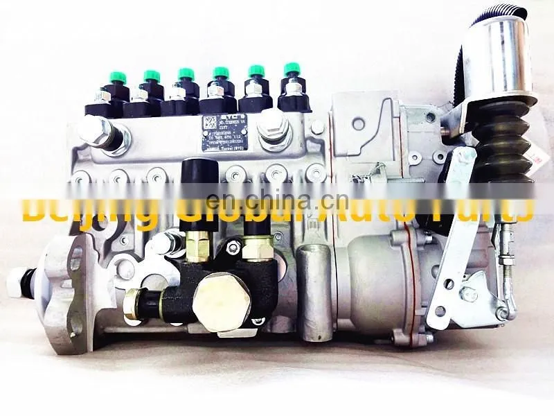 P/erkins 1006 Engine Injection Pump 10 403 576 112 10403576112 with ASIMCO Brand,CPES6PB110D120RS3162 Pump