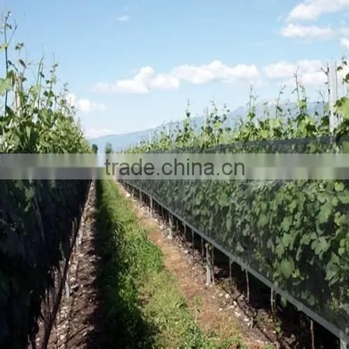 nylon anti bird netting / agricultural bird net