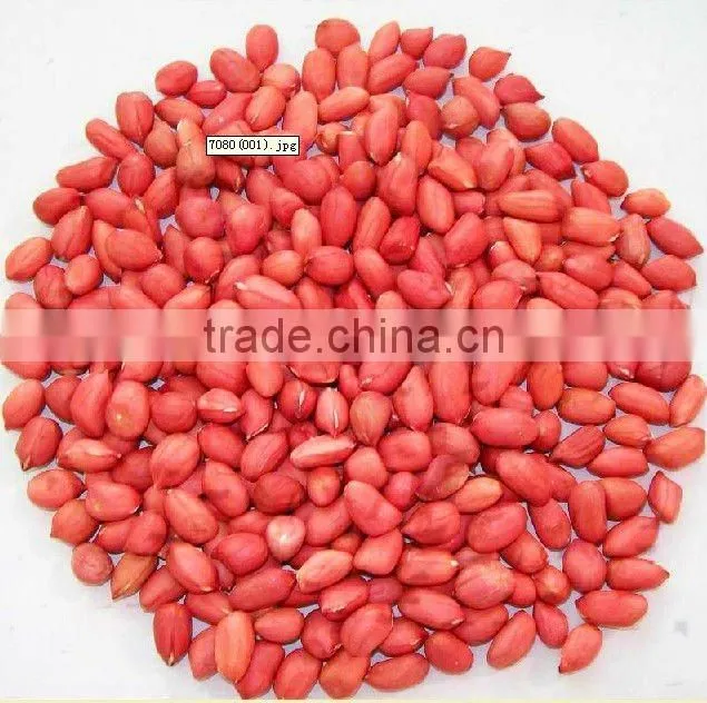 Blanched peanut kernels inChina