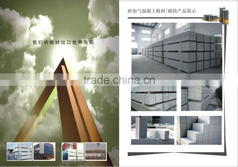 Professional AAC production line,AAC Plant,AAC Panel