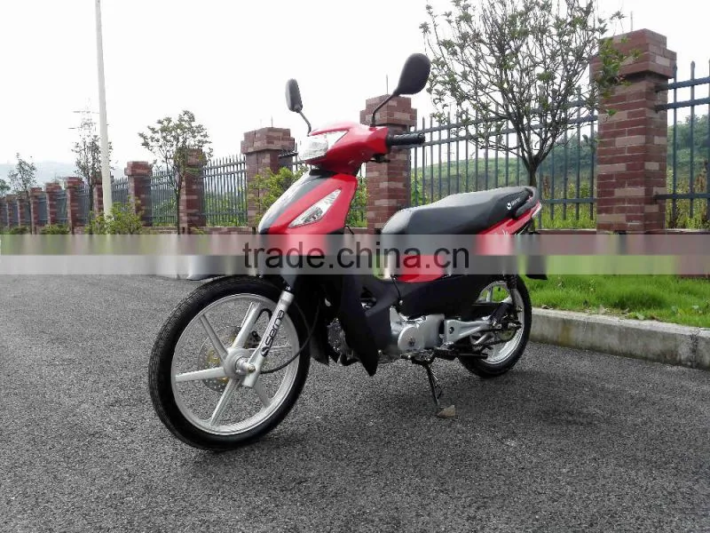 Chinese 110cc cub,FUEGO mini bike.