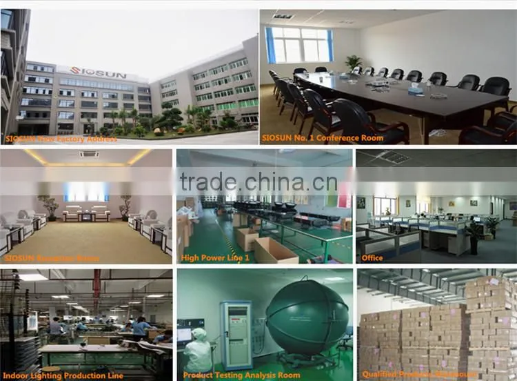High Quality IP67 Citizen COB LED Flood Light 100w