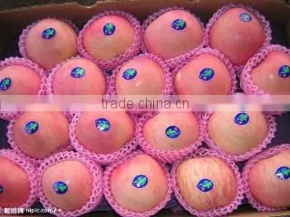 Tianshui Kairui Trade Co., Ltd. company overview - view 2