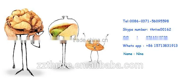 chestnut Pine Nut Opener equipment,Filbert nut opening machine,Walnut opening machine