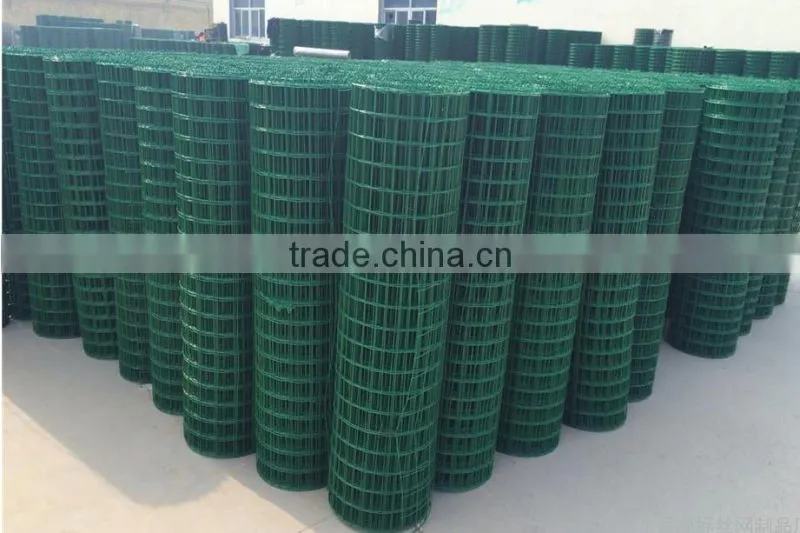 High quality holland wire mesh with low price