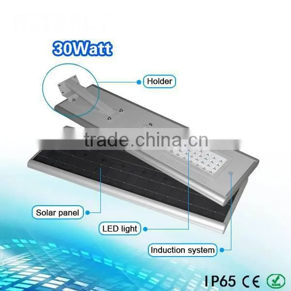 30w solar led light Garden Lighting Hot sales Bridgelux chip All in one Street Lights