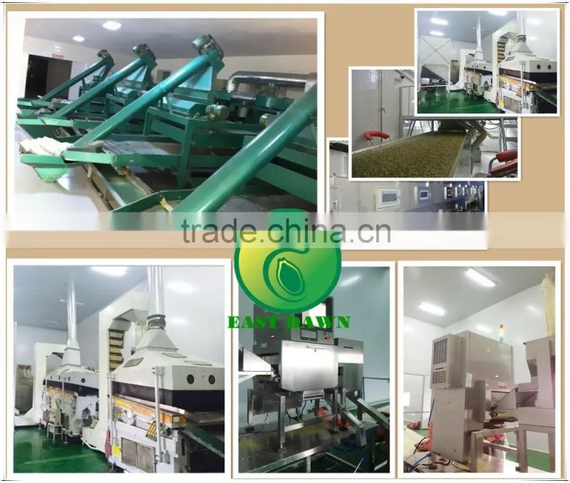 GWS Pumpkin Kernels raw cashew nut wholesale