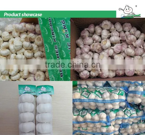 New crop fresh garlic/Wholesale white garlic China origin/China garlic price