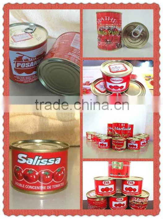 hot break tomato paste 18-20%2.2kg