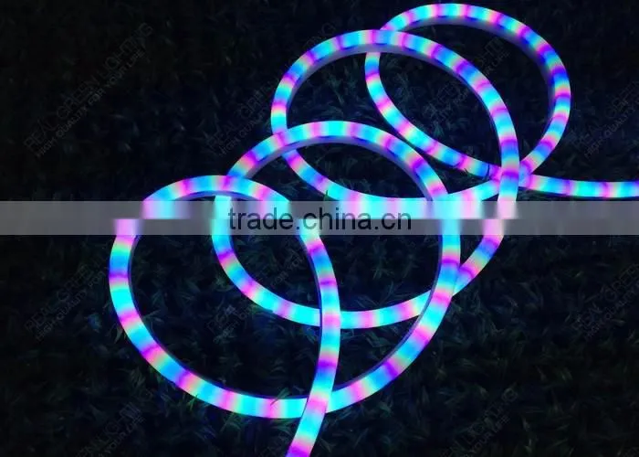 120V Wedding Party Decoration Blue and Pink Chasing LED Neon Light