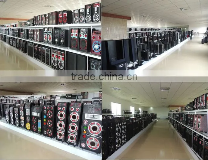 2014 most popular dual 12 inch big power speaker with dvd,eco power speakers for sale