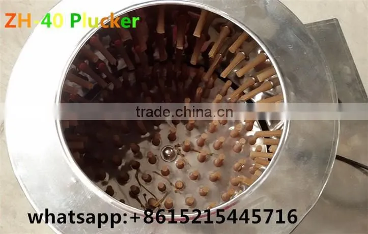 High quality high efficient ZH-40 quail plucker for sale