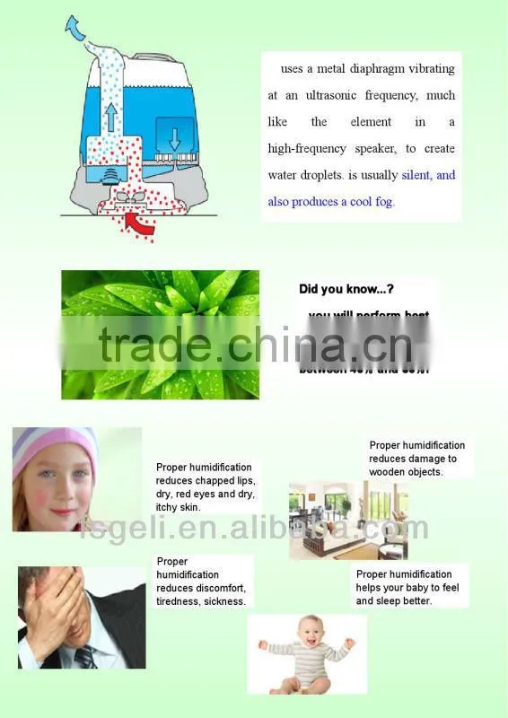 GL-1106 Greenair Spa Vapor Aroma Therapy Micro Mist