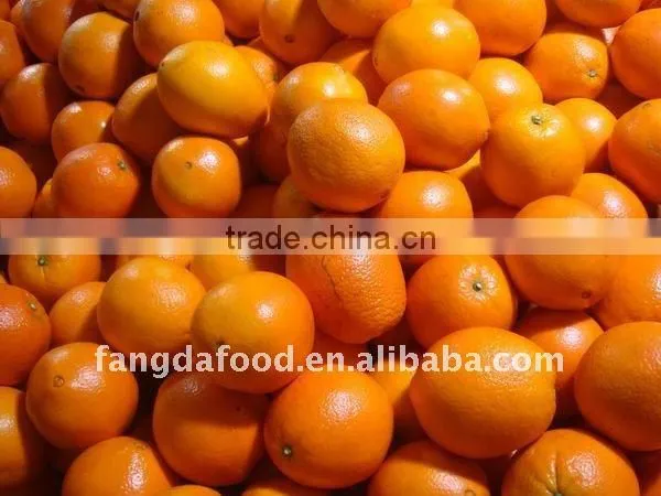 Chinese fresh sweet navel orange