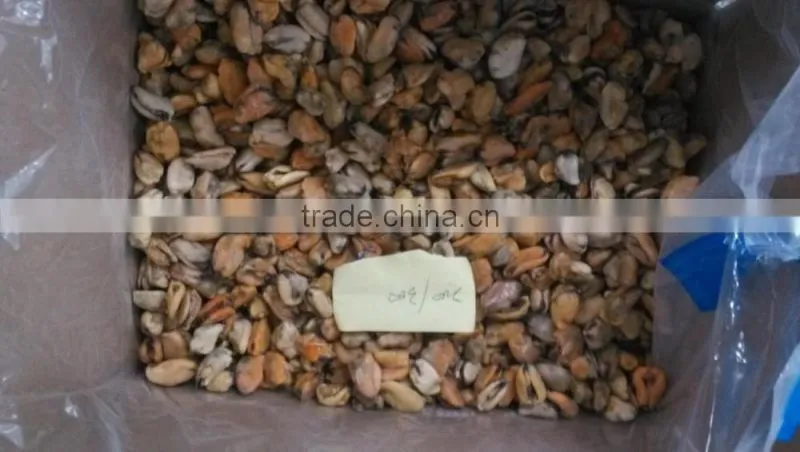Frozen mussel boiled meat seafood price from seafood company