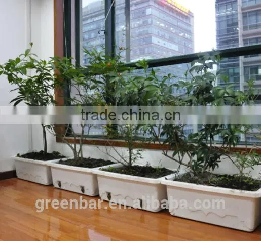 Veranda greening space magic planting pot