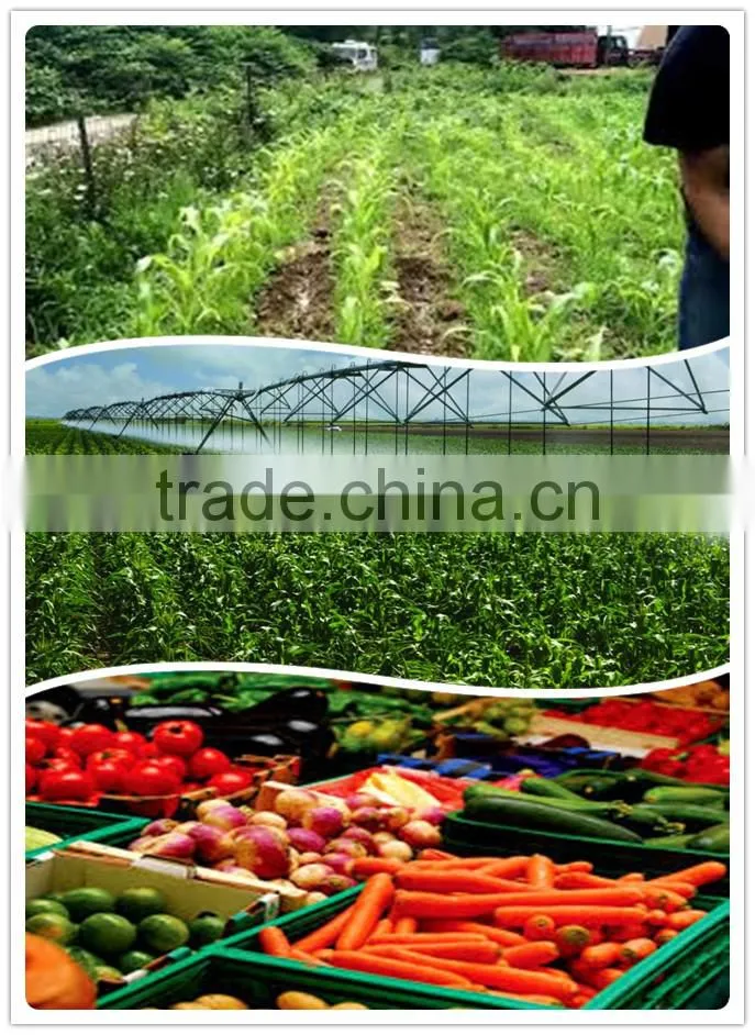 chemical fertilizer production plant urea prices