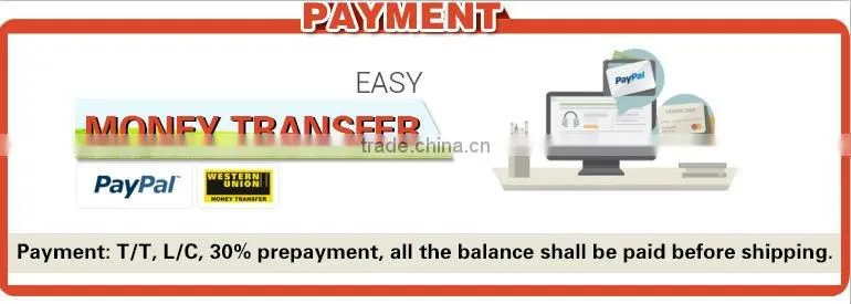 Pig Equipment pig farming systemfor Pigs
