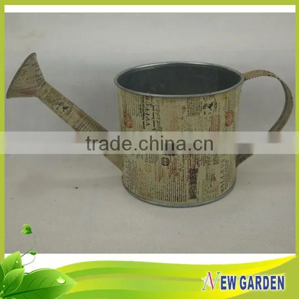 Artistic Modern Excellent Design Watering Can Shape African Flower Pots