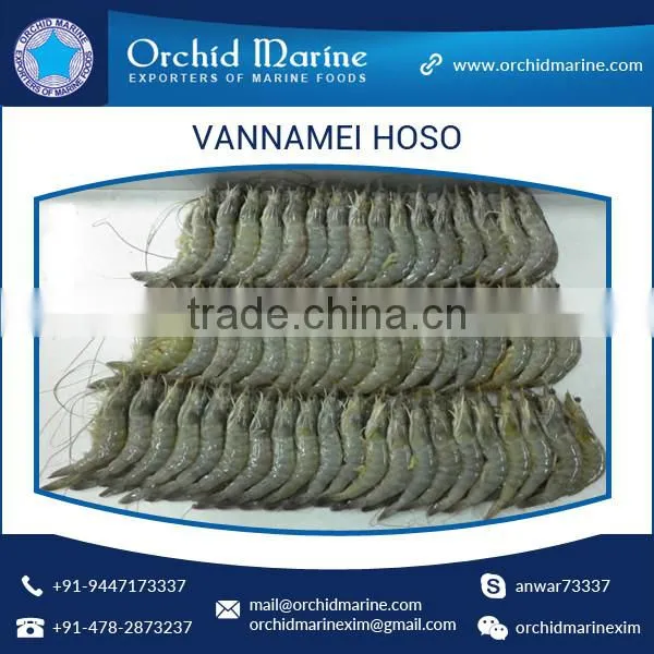 High Grade Hygienically Processed Frozen Vannamei Shrimps Price