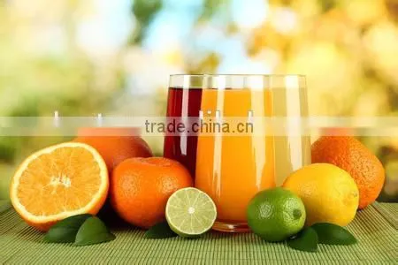Stainless Steel Fruit Juicer, Juice Extractor,Pomegranate Juicer