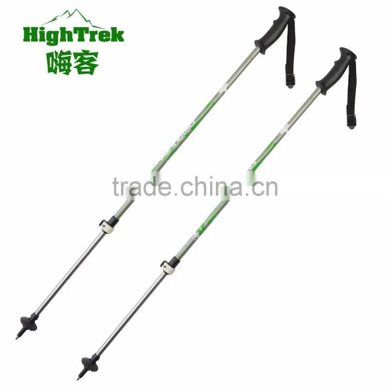 Alpine ski pole