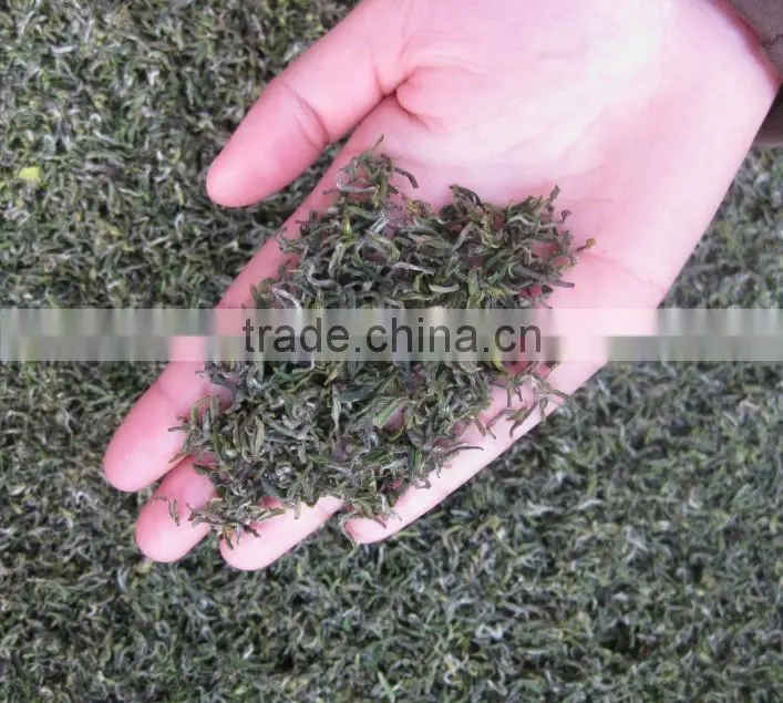 organic green tea