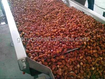 Genyond Industrial Date Sauce Paste Jam Making Machine Syrup Molasses Production Line Date Juice Processing Equipment