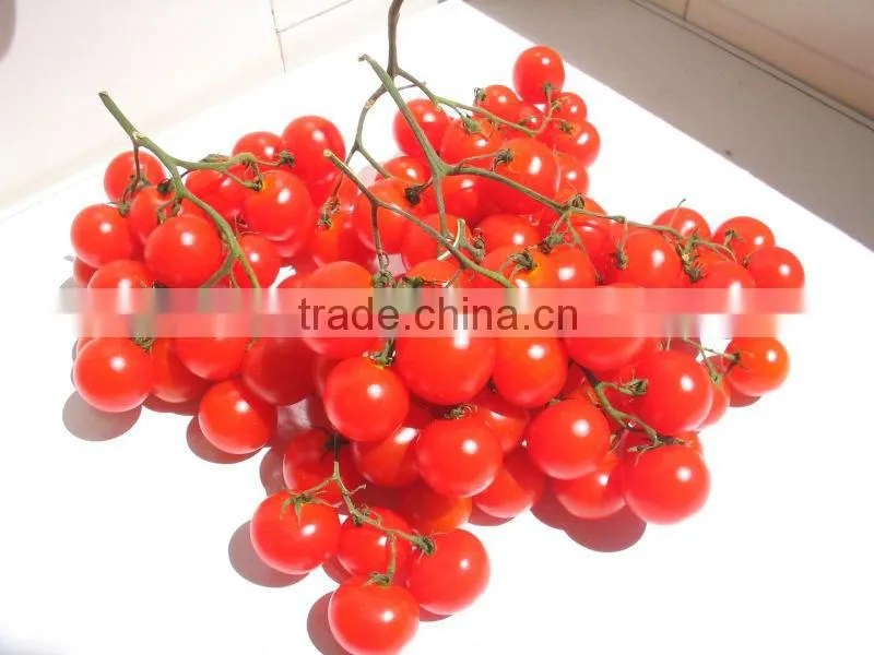 Jarred cherry tomatoes