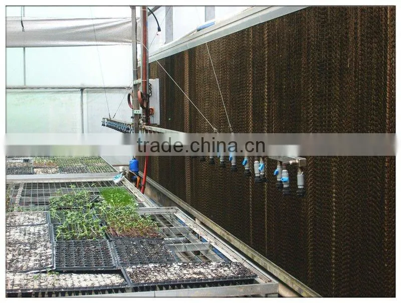 sprinker irrigation system