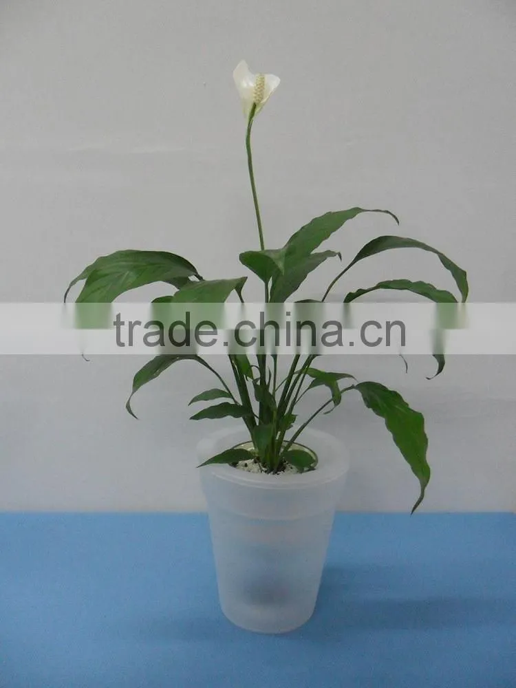 Solar decorative lights, solar flowerpot light, indoor solar lamp