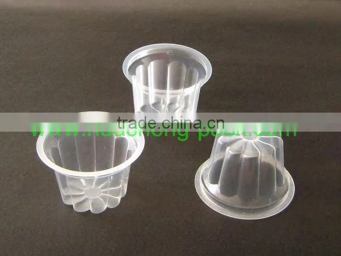 Disposable PP Plastic Big Jelly Cup