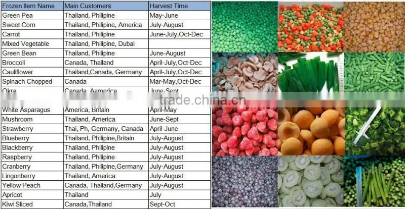 China high quality IQF FROZEN GREEN PEA