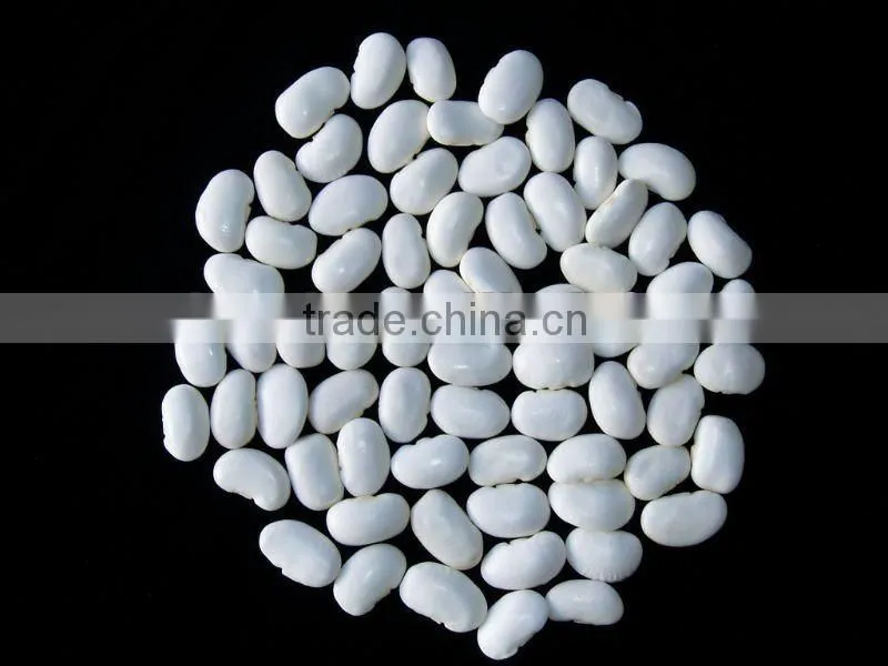Low price large white kidney beans