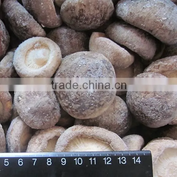Frozen Shiitake Mushroom Iqf Shiitake Mushrooms