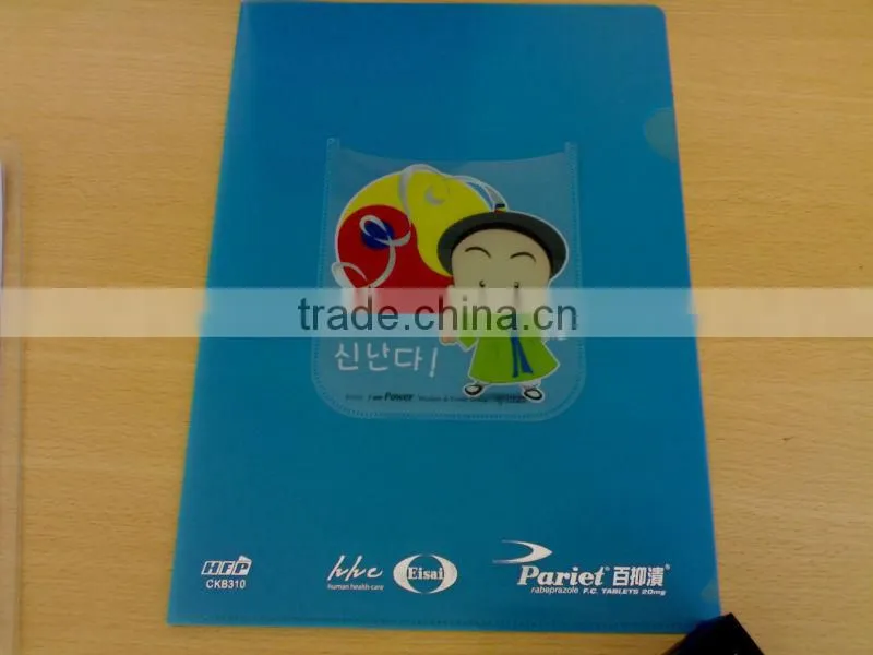 A4 clear file folder