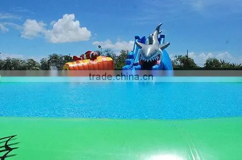 Giant Inflatable Swimming Pool