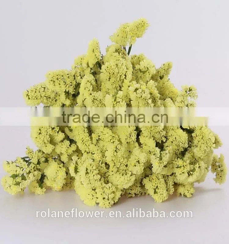 kunming flower exporter dark red statices flowers for home decoration