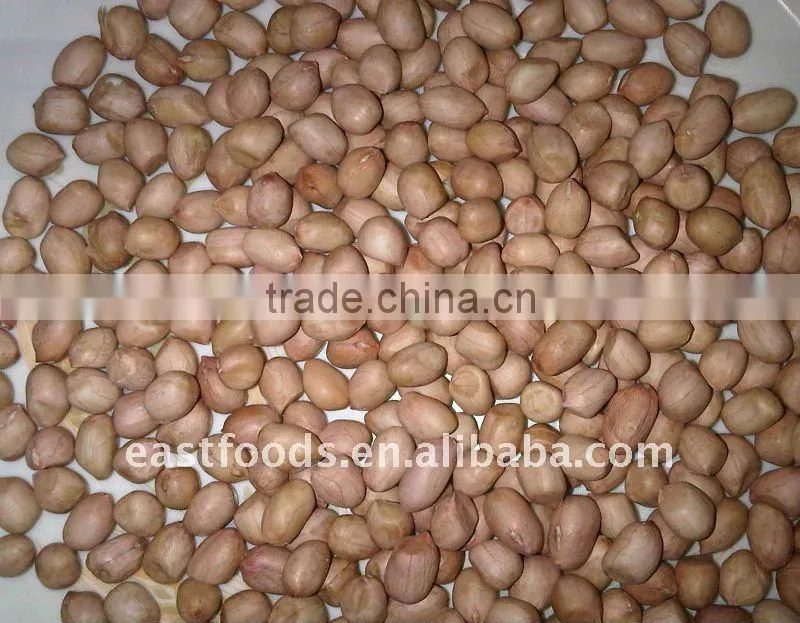 Round type peanut kernel 50/60
