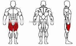 2015 popular Commercial Fitness Equipment /Gym equipment /Leg Extension
