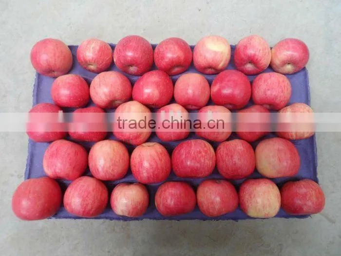 2015 shandong FUJI APPLE